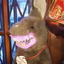 Lapin à l'appareil dentaire